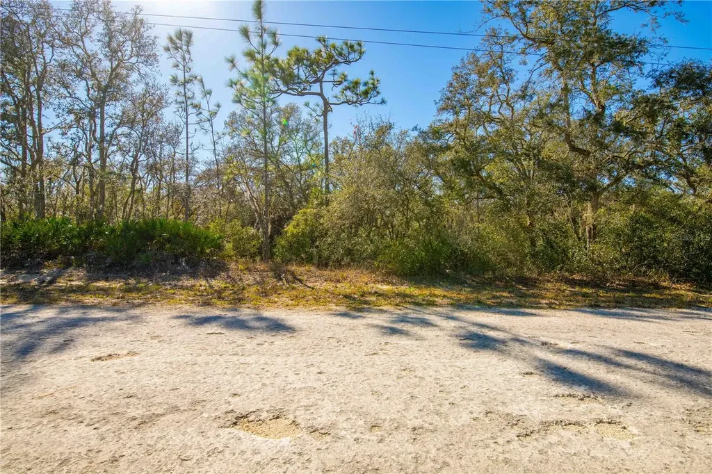 8149 Renova Drive Webster FL 33597