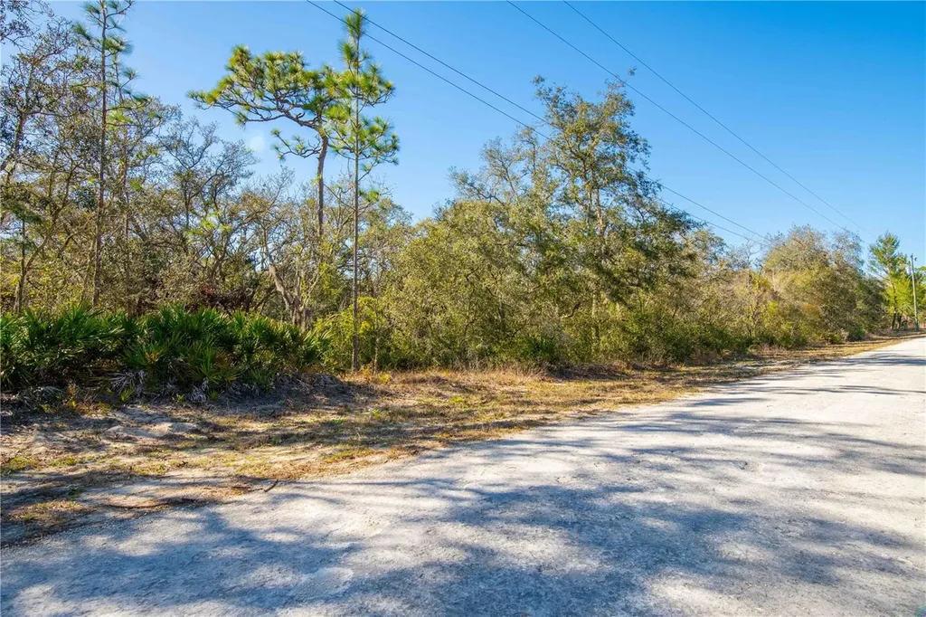 8149 Renova Drive Webster FL 33597
