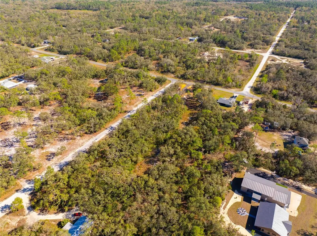8149 Renova Drive Webster FL 33597