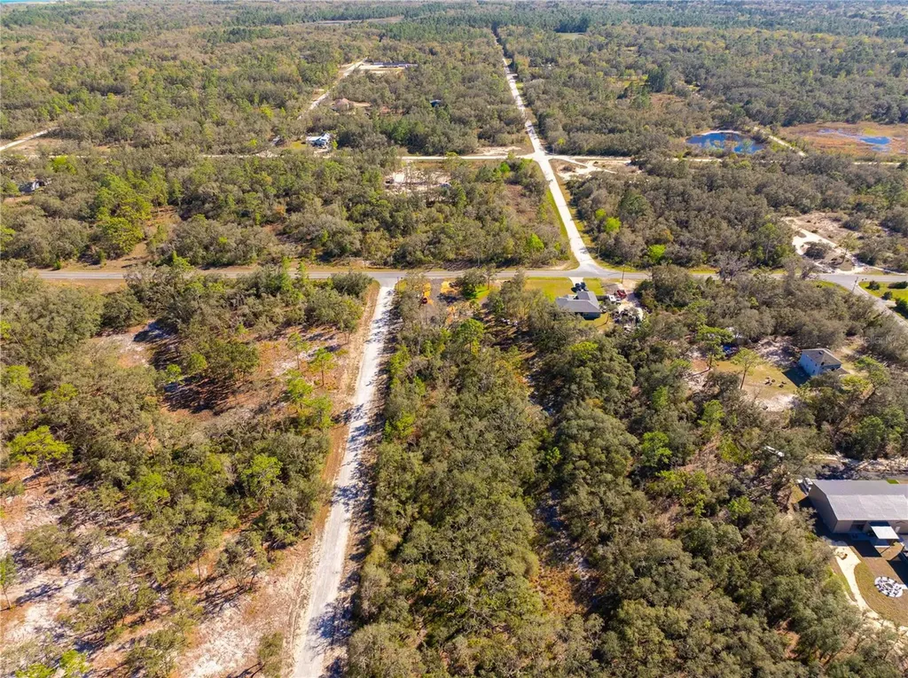 8149 Renova Drive Webster FL 33597