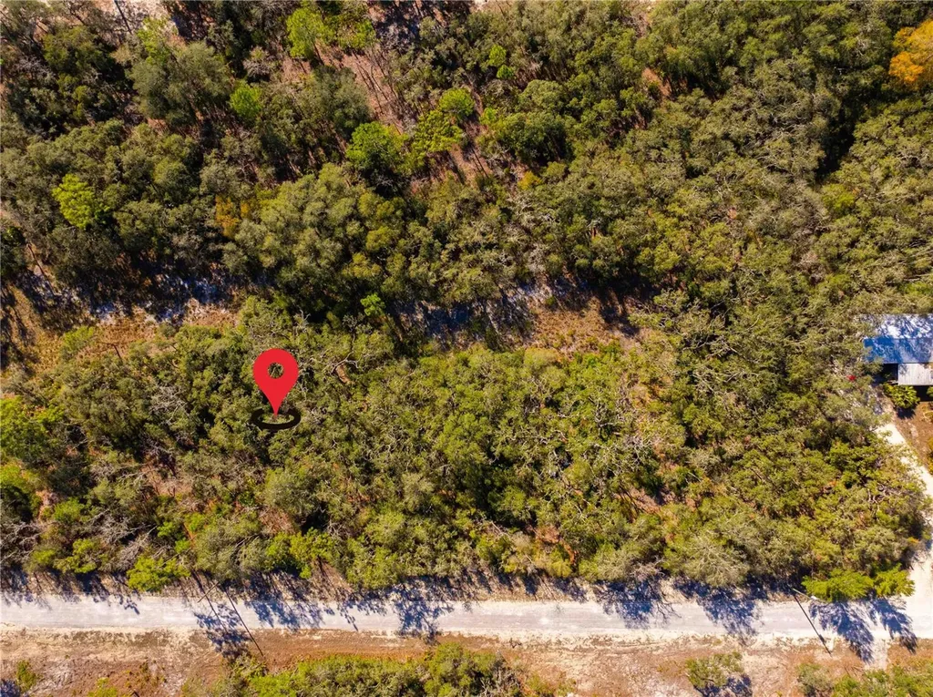 8149 Renova Drive Webster FL 33597