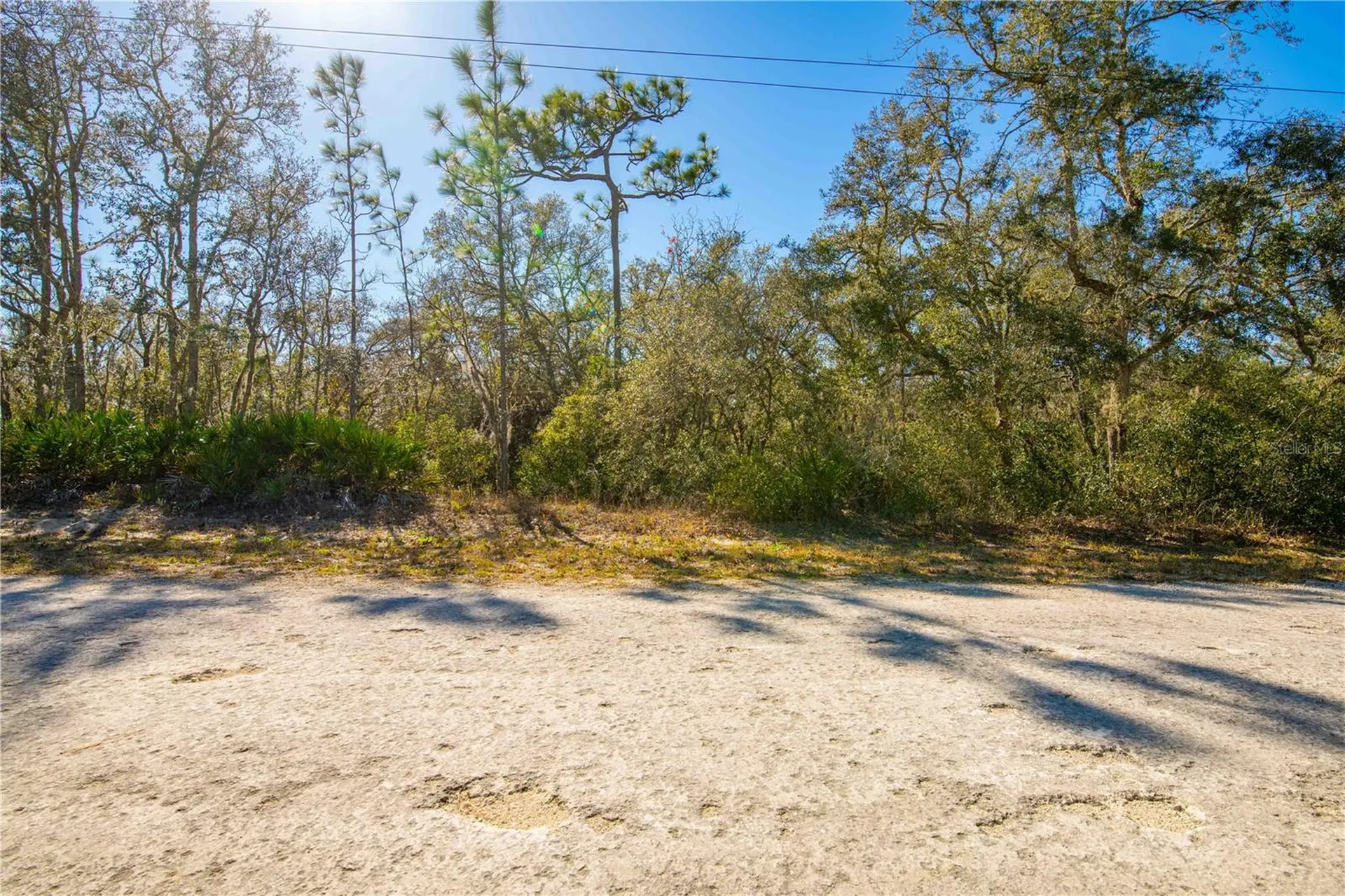 8149 Renova Drive Webster FL 33597