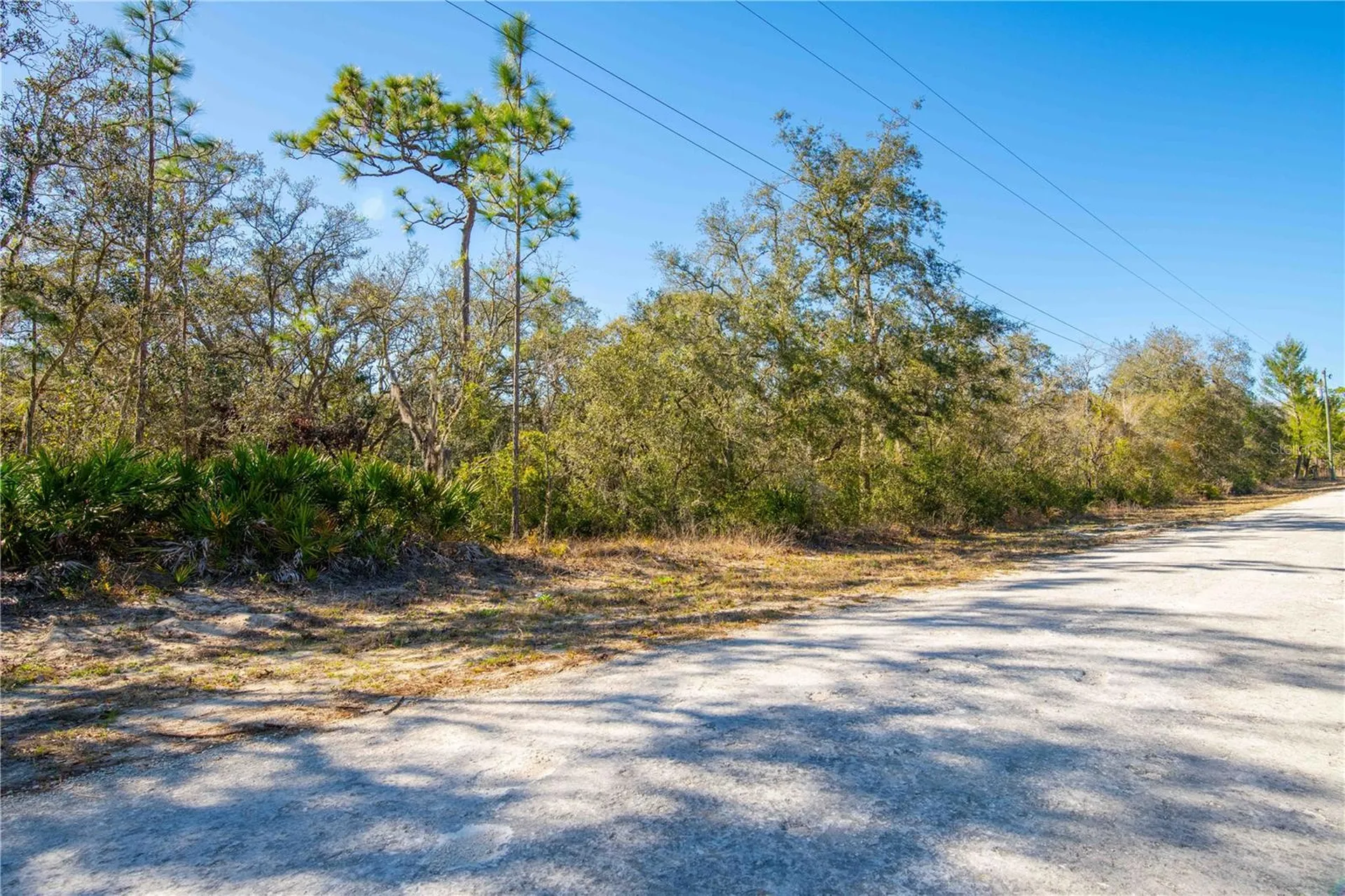 8149 Renova Drive Webster FL 33597