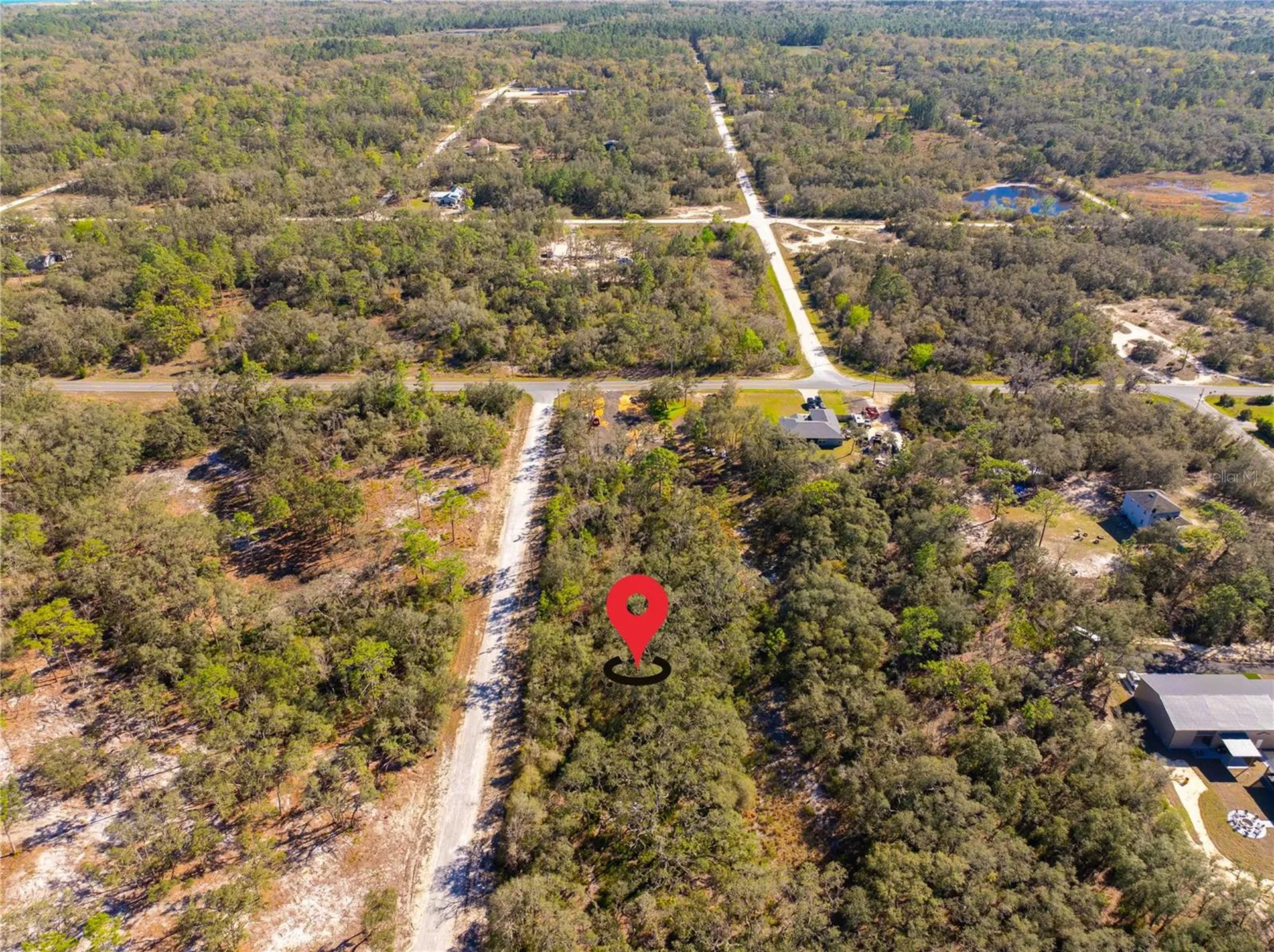 8149 Renova Drive Webster FL 33597