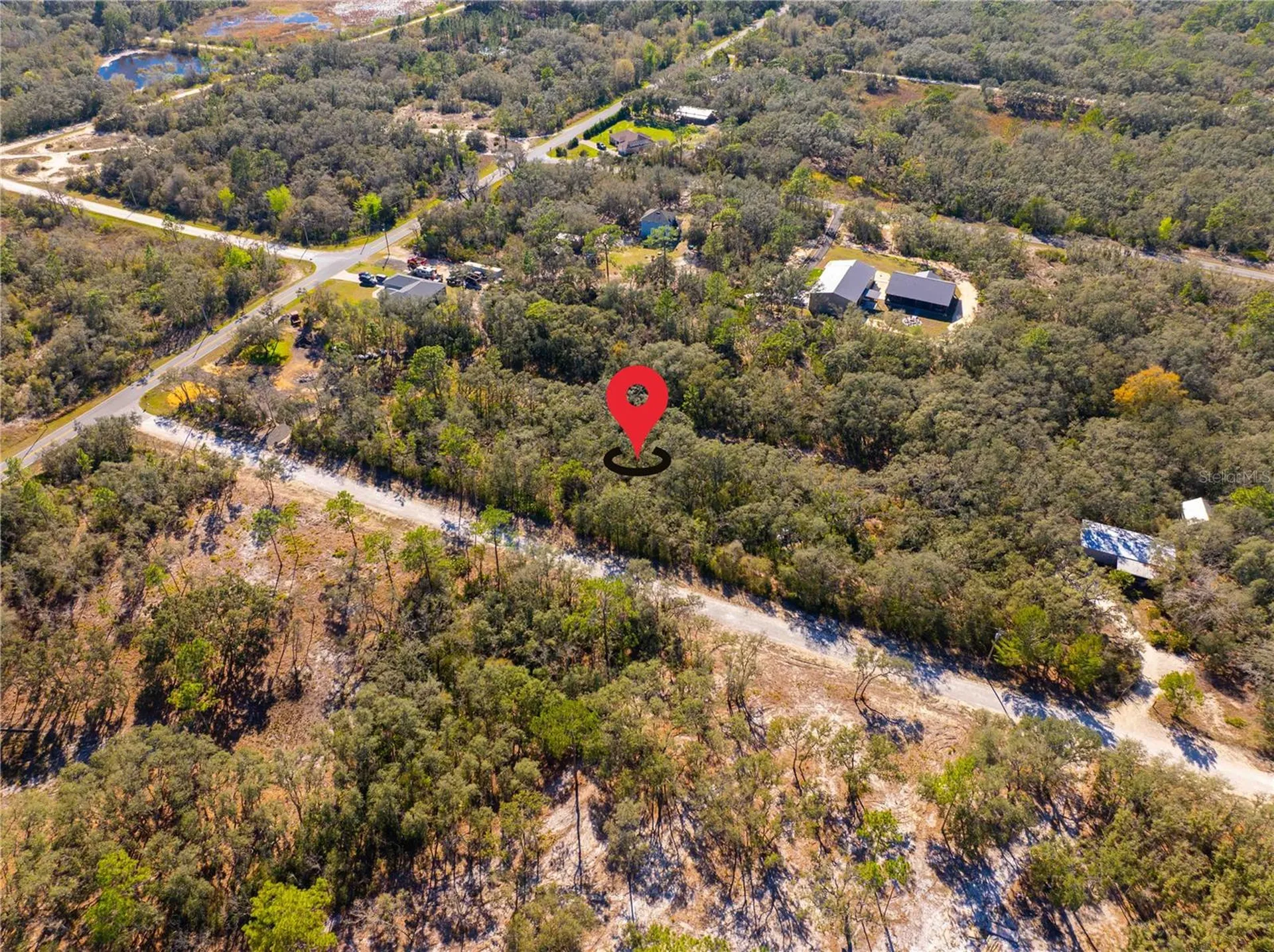 8149 Renova Drive Webster FL 33597