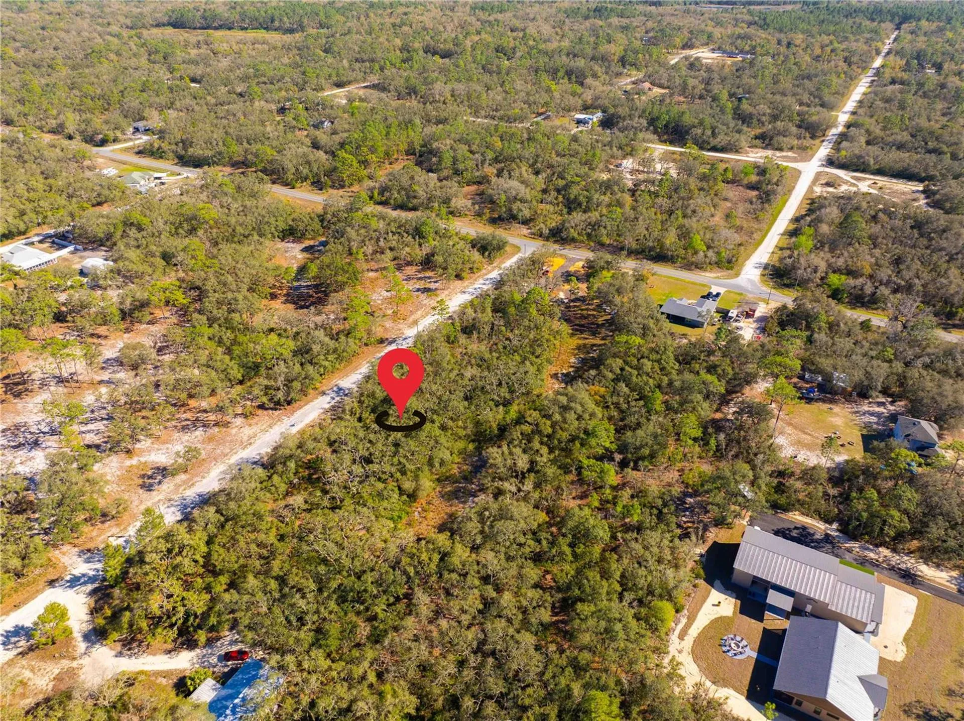 8149 Renova Drive Webster FL 33597