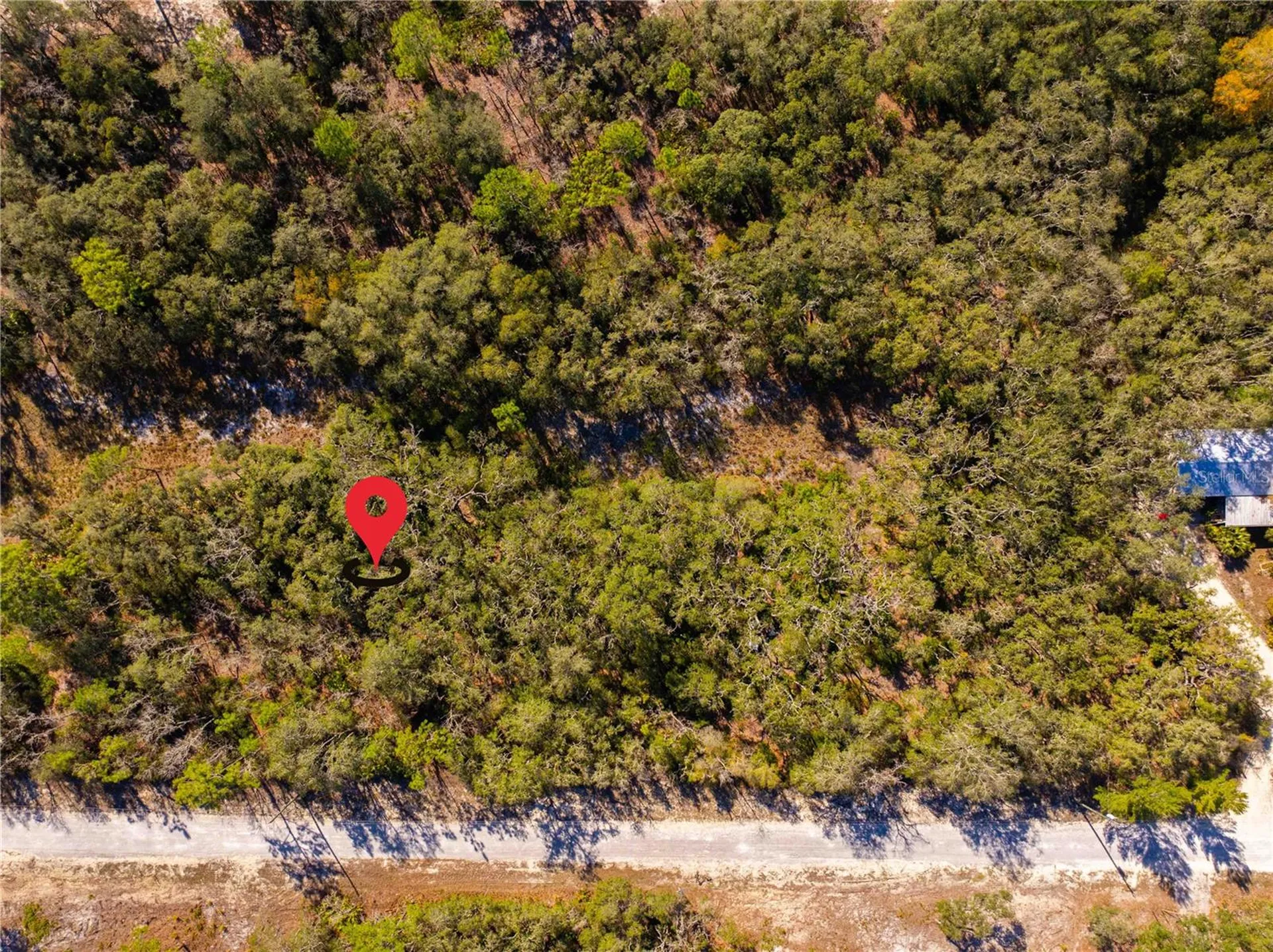 8149 Renova Drive Webster FL 33597