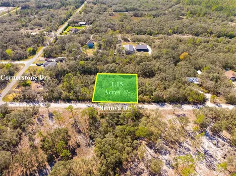 8149 Renova Drive Webster FL 33597
