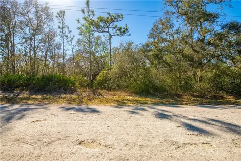 8149 Renova Drive Webster FL 33597