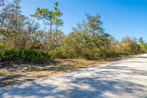 8149 Renova Drive Webster FL 33597