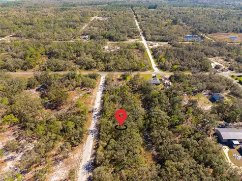 8149 Renova Drive Webster FL 33597