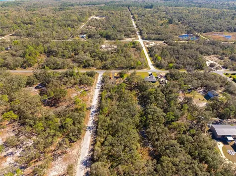 8149 Renova Drive Webster FL 33597