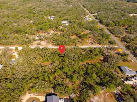 8149 Renova Drive Webster FL 33597