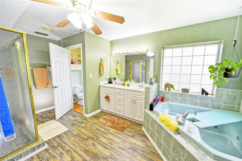 9795 NE 303rd Avenue Salt Springs FL 32134