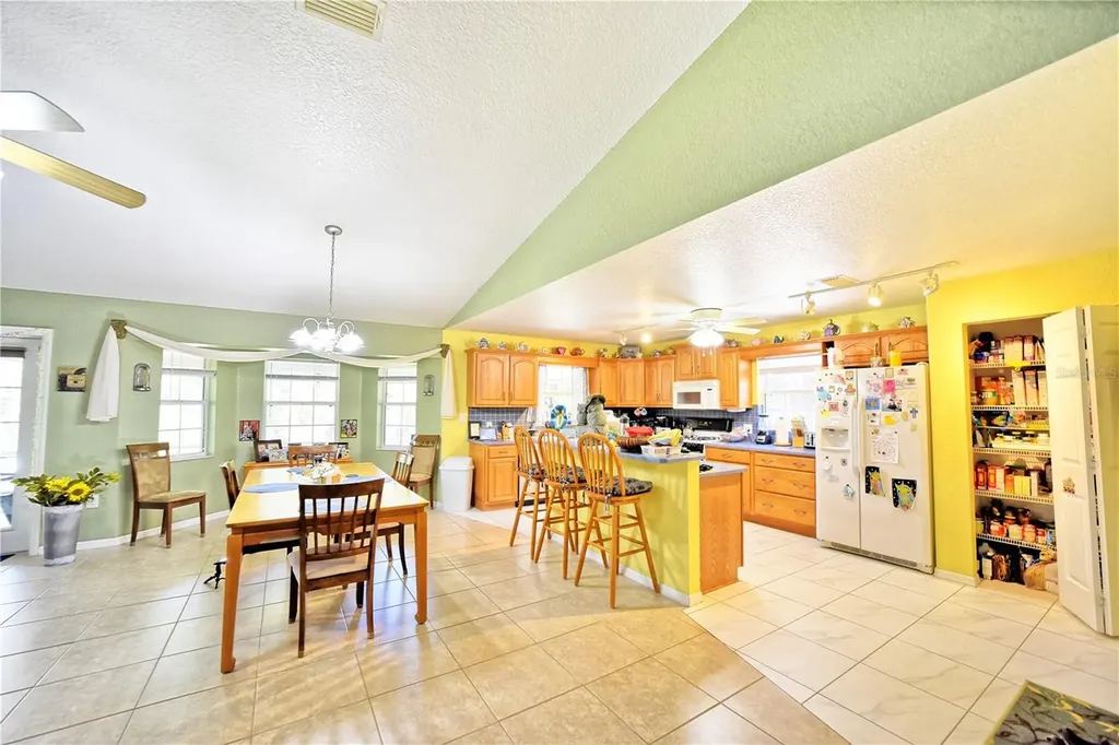 9795 NE 303rd Avenue Salt Springs FL 32134