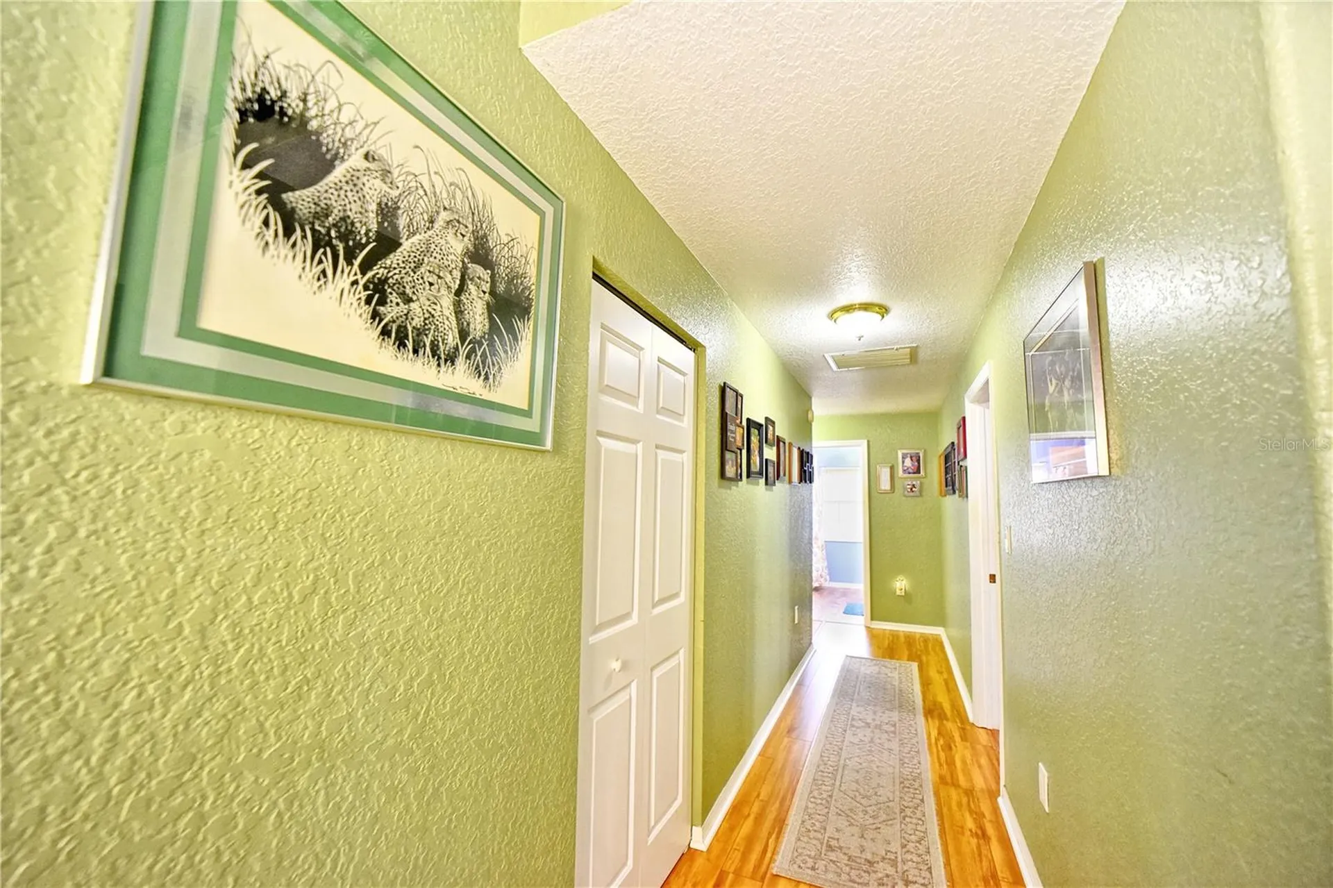 9795 NE 303rd Avenue Salt Springs FL 32134
