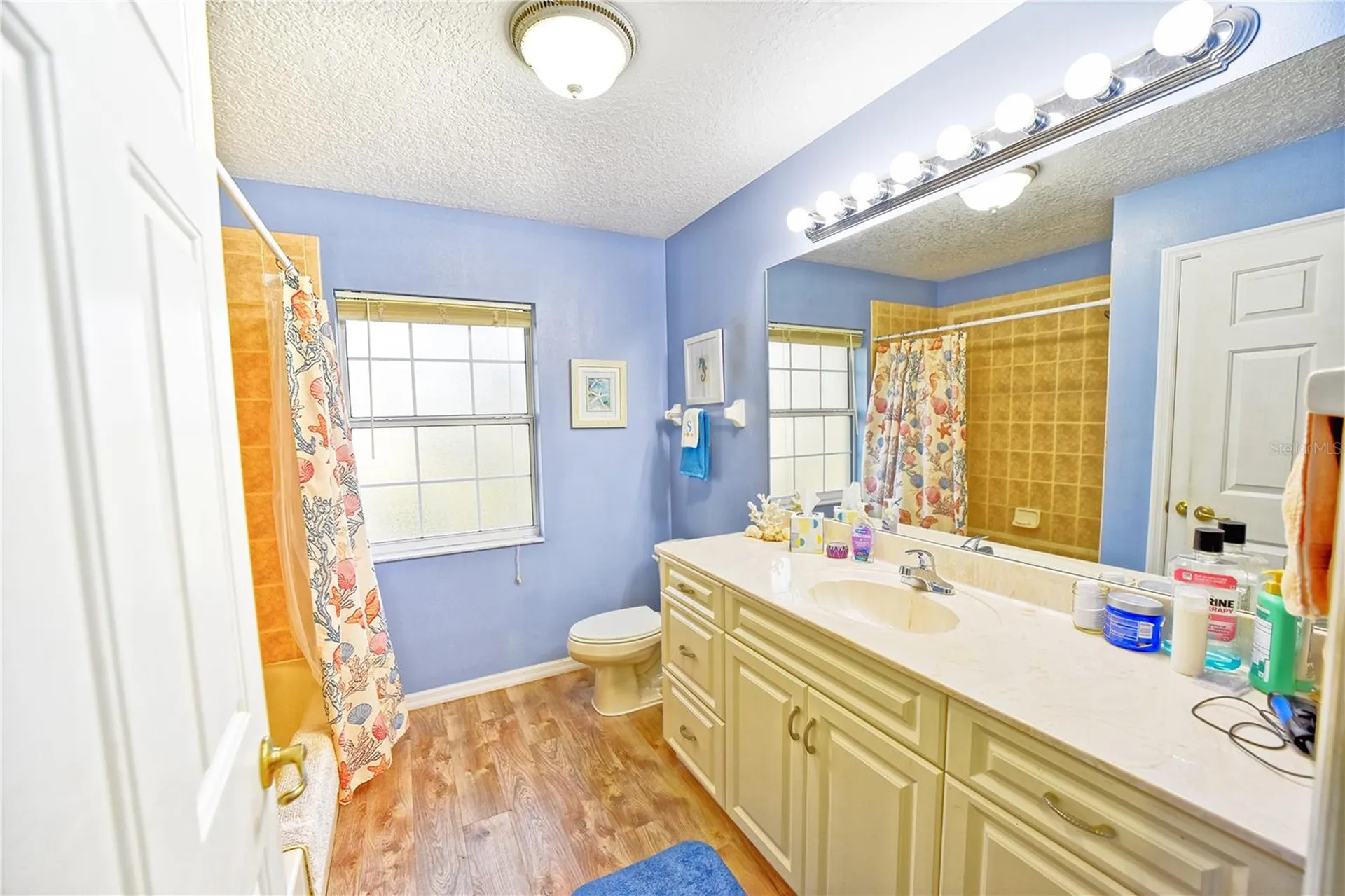 9795 NE 303rd Avenue Salt Springs FL 32134