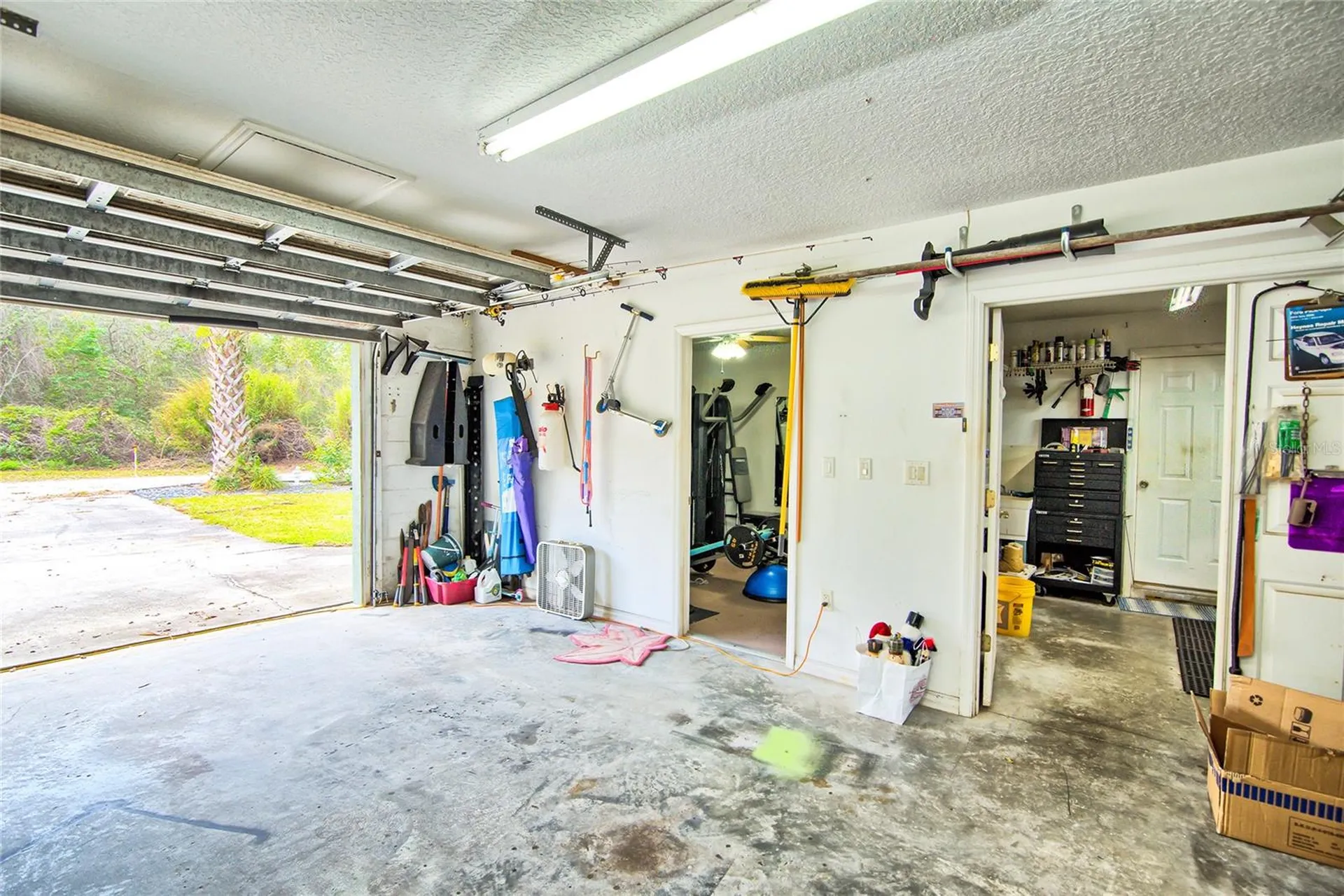9795 NE 303rd Avenue Salt Springs FL 32134