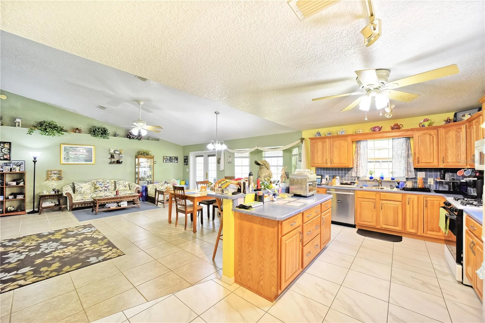 9795 NE 303rd Avenue Salt Springs FL 32134