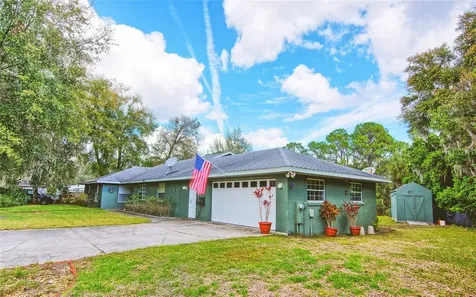 9795 NE 303rd Avenue Salt Springs FL 32134