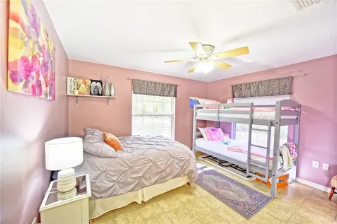 9795 NE 303rd Avenue Salt Springs FL 32134