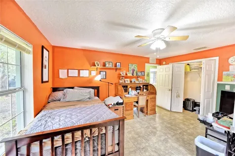 9795 NE 303rd Avenue Salt Springs FL 32134