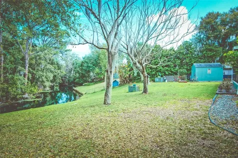 9795 NE 303rd Avenue Salt Springs FL 32134