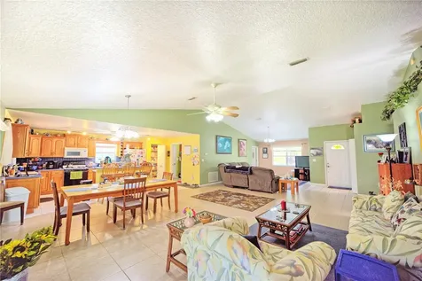 9795 NE 303rd Avenue Salt Springs FL 32134