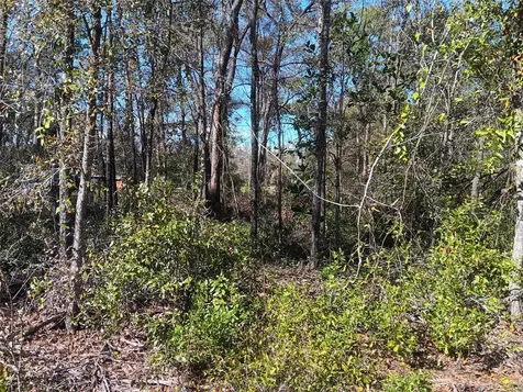155 Palm Drive Bronson FL 32621