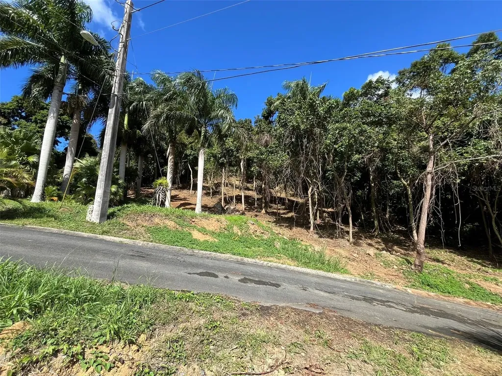 174 Bayamon PR 00961