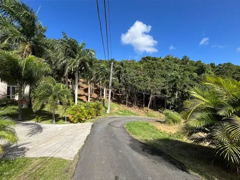 174 Bayamon PR 00961