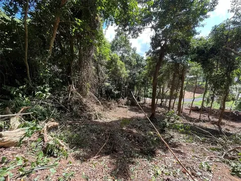 174 Bayamon PR 00961