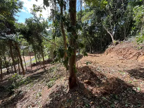 174 Bayamon PR 00961