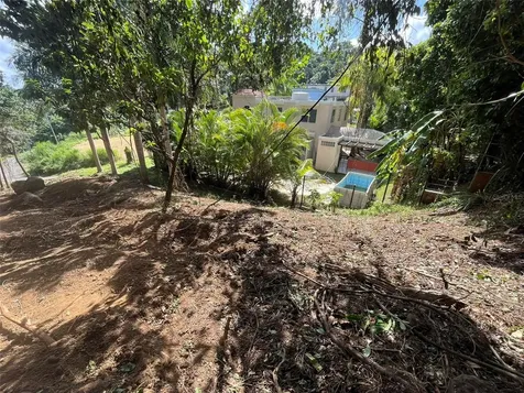 174 Bayamon PR 00961