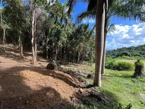 174 Bayamon PR 00961