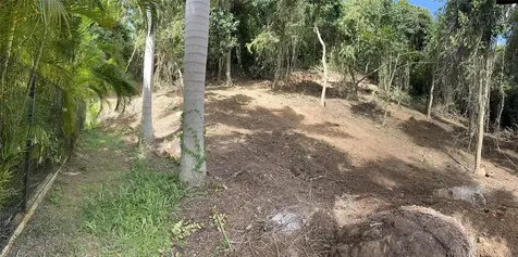 174 Bayamon PR 00961