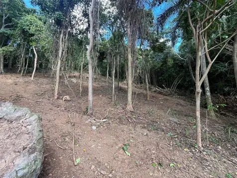174 Bayamon PR 00961