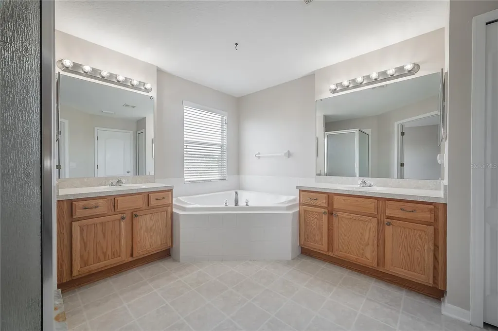 9224 Lost Mill Drive Land O Lakes FL 34638