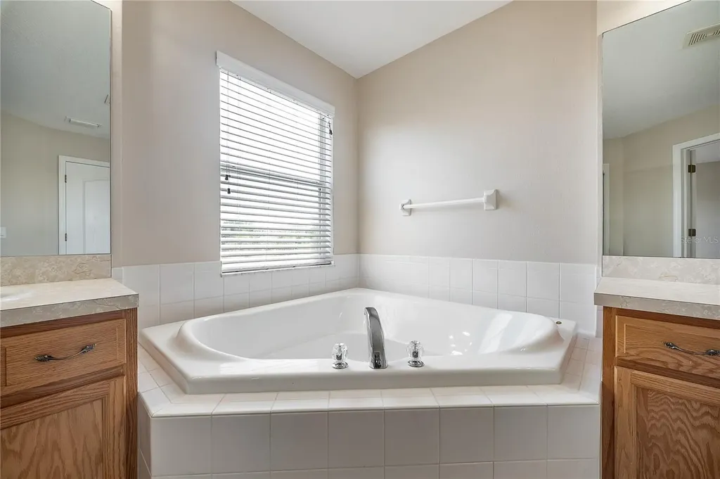 9224 Lost Mill Drive Land O Lakes FL 34638