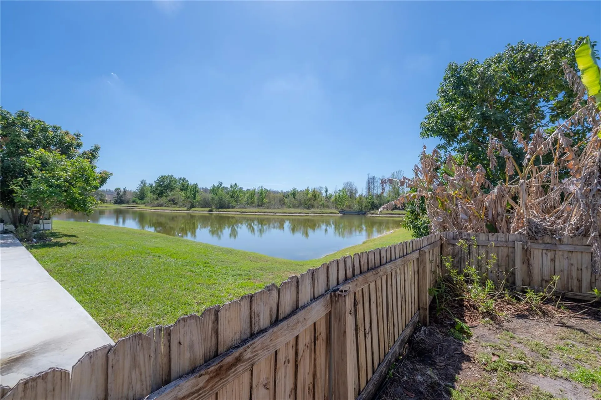 9224 Lost Mill Drive Land O Lakes FL 34638