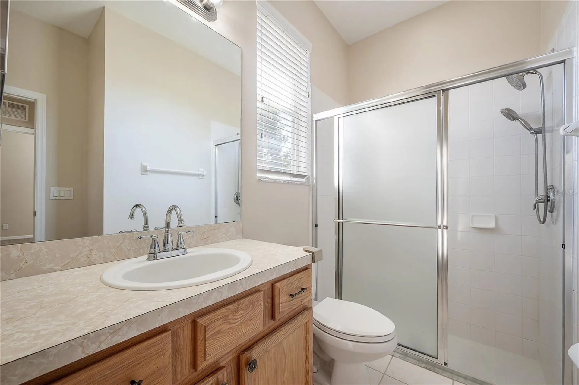 9224 Lost Mill Drive Land O Lakes FL 34638