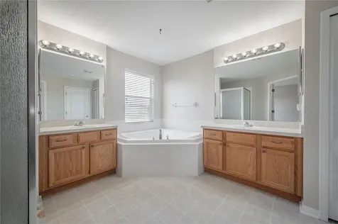 9224 Lost Mill Drive Land O Lakes FL 34638