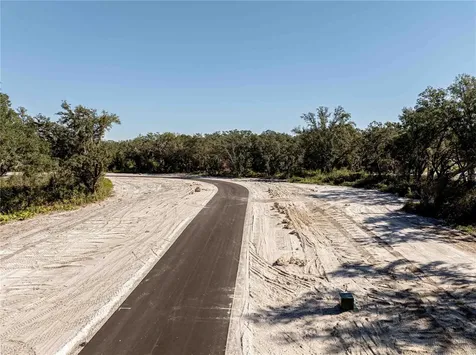 1480 Oxford Preserve Trail Oxford FL 34484