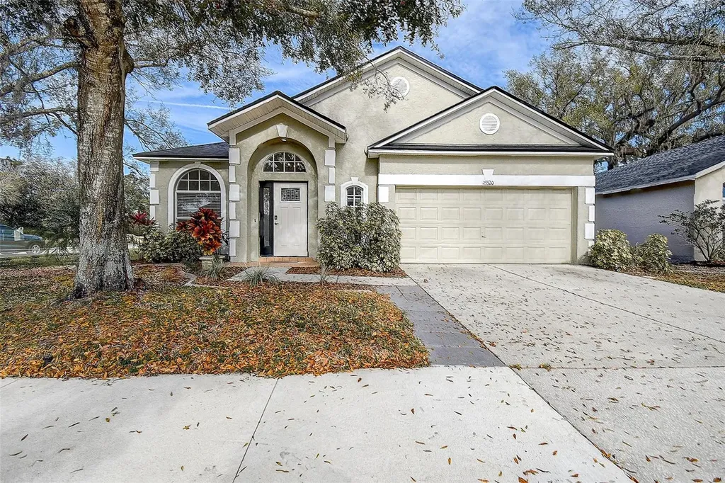 25520 Seven Rivers Circle Land O Lakes FL 34639