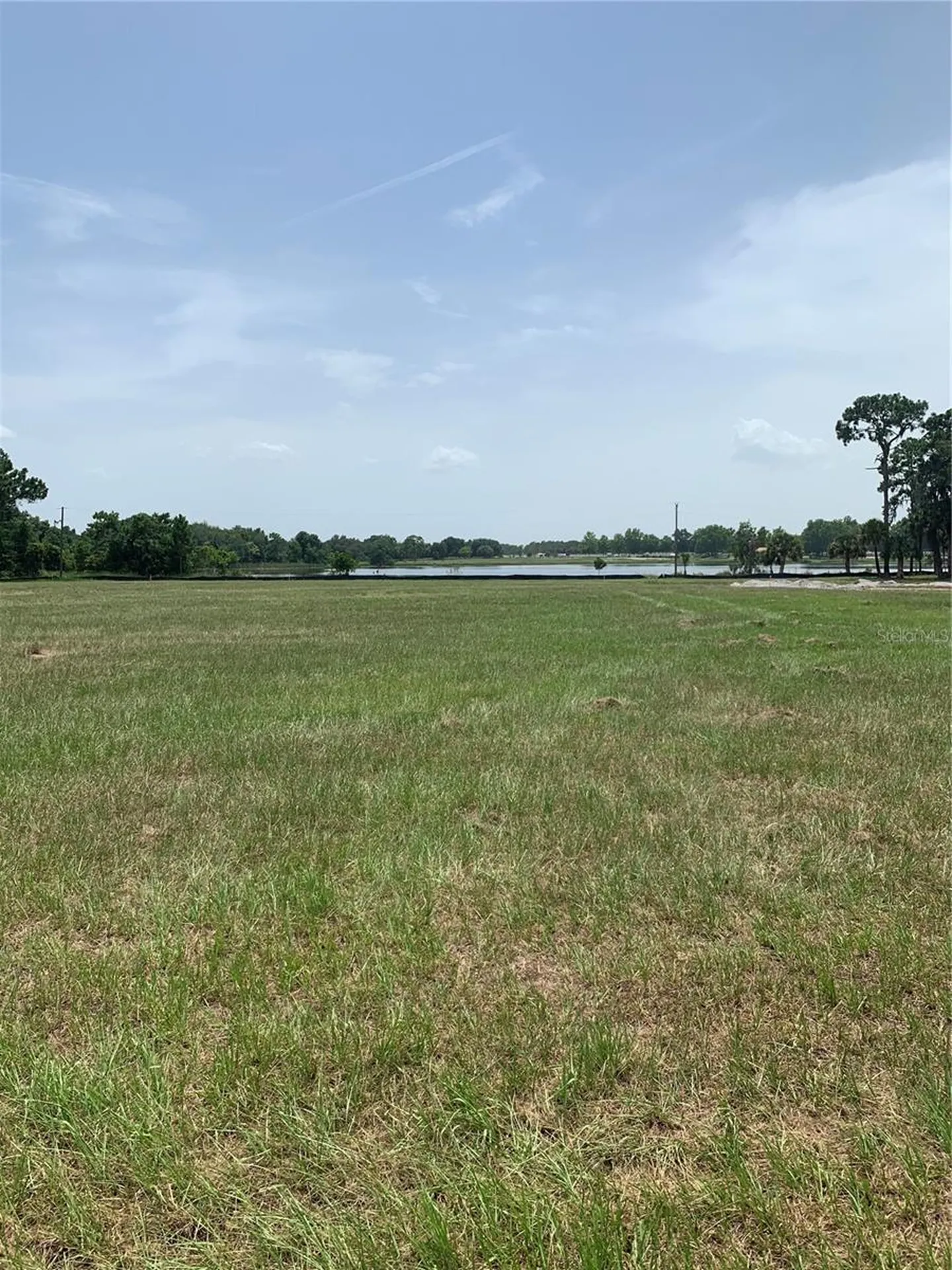 3448 Lake Diane Road Tavares FL 32778