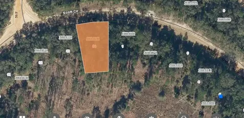 00 Scott Circle Interlachen FL 32148