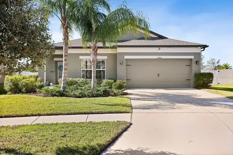 11403 Alachua Creek Lane Riverview FL 33579