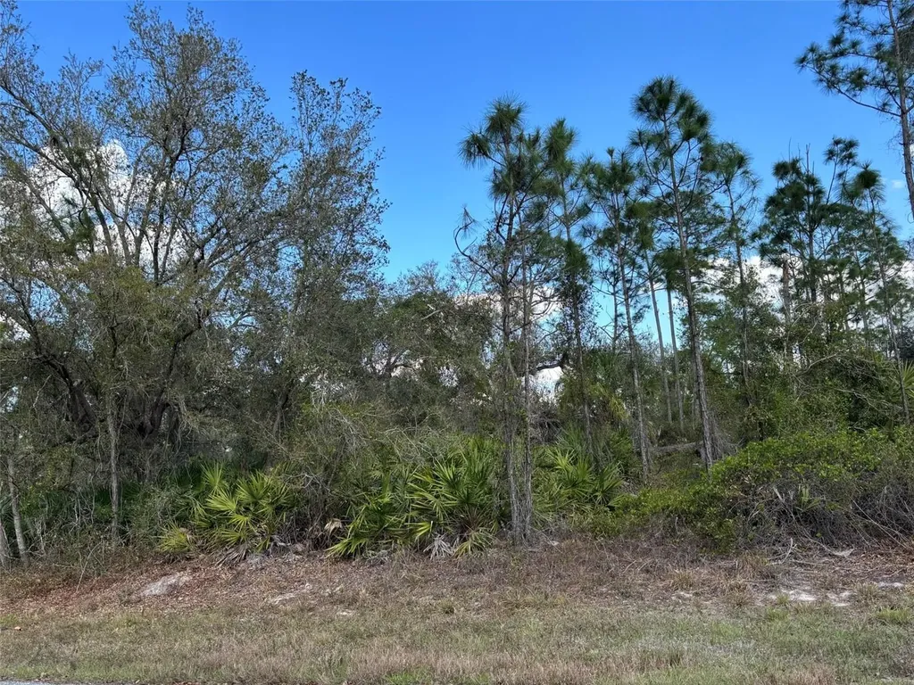 74 Baldur Drive Port Charlotte FL 33954