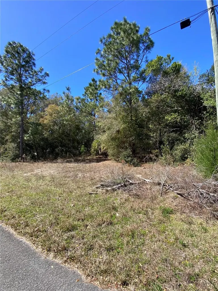 8630 N Catapane Loop Crystal River FL 34428