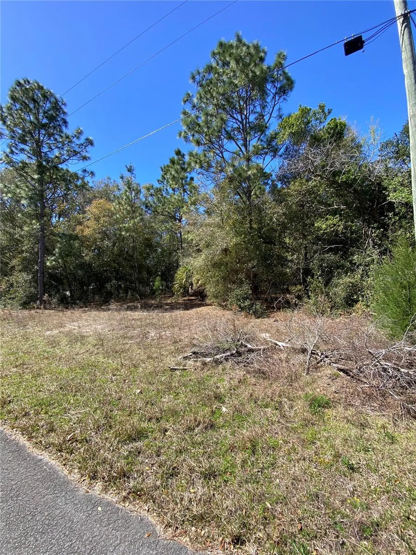 8630 N Catapane Loop Crystal River FL 34428